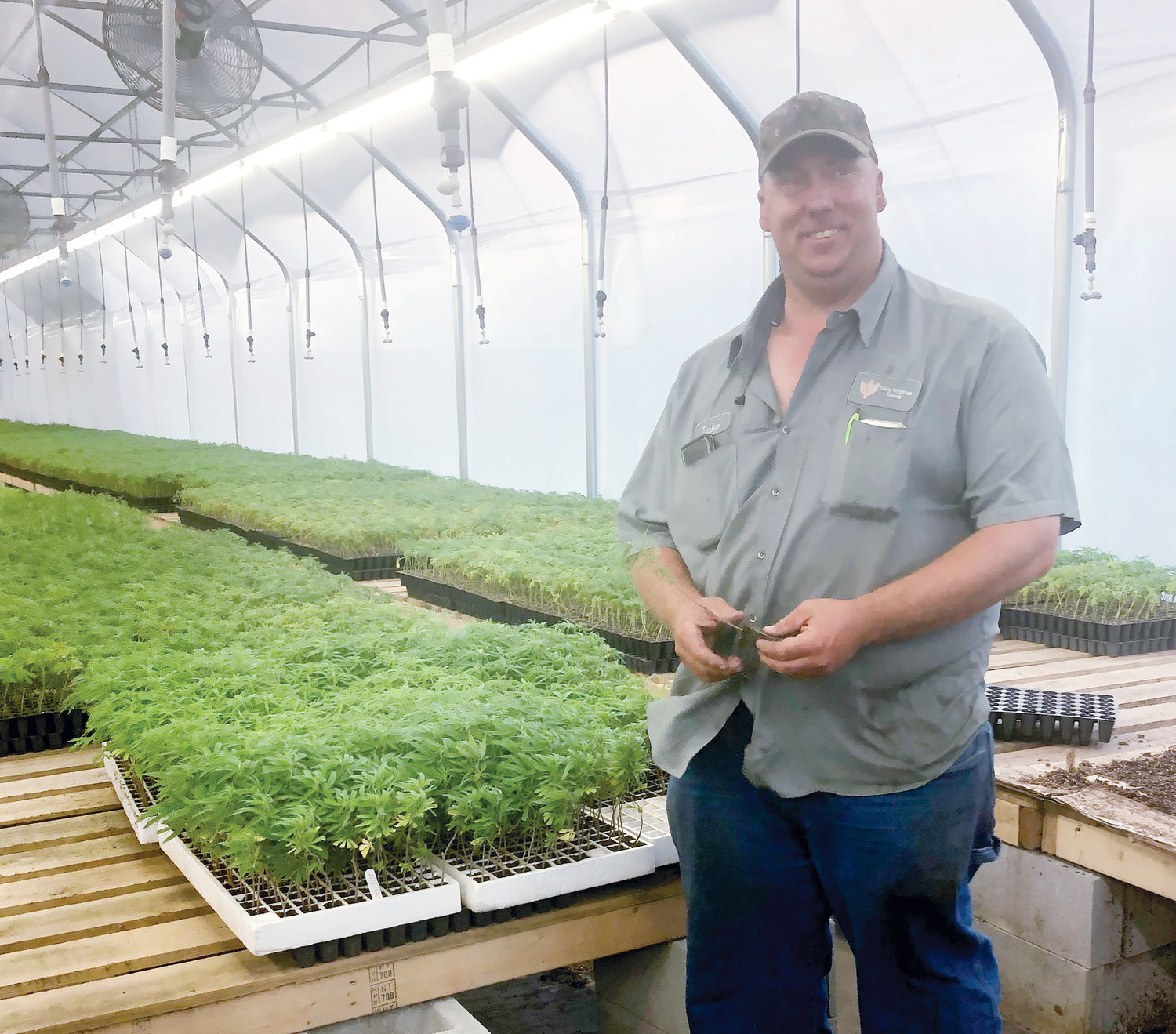 Hemp: Farmers in the crosshairs | The Chatham News + Record