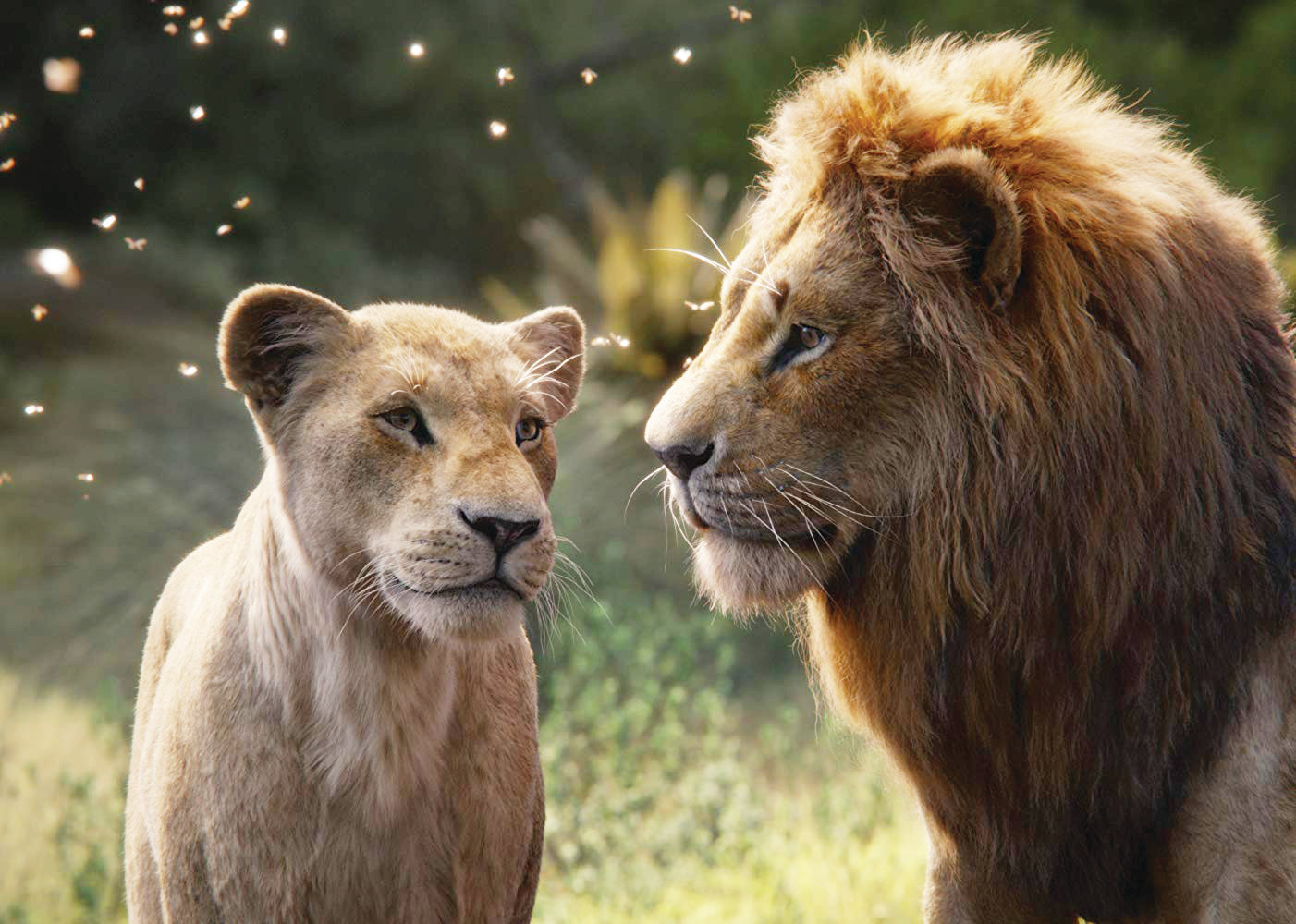 Beyoncé and Donald Glover star as the voices of adult Nala (left) and adult Simba in Disney's live-action remake of The Lion King.
