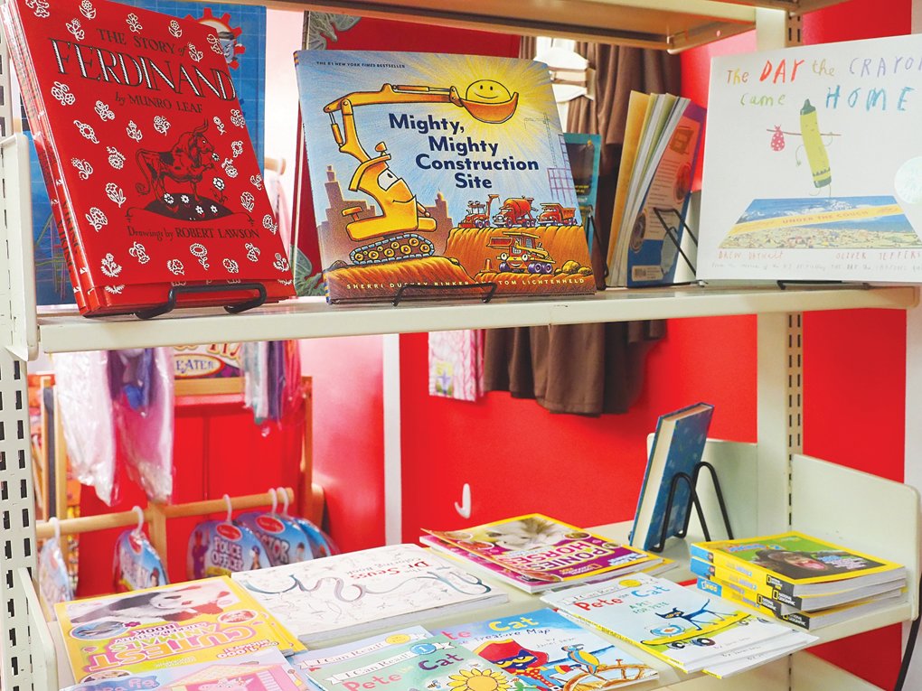 Pittsboro Toys carries plenty of books for young readers.