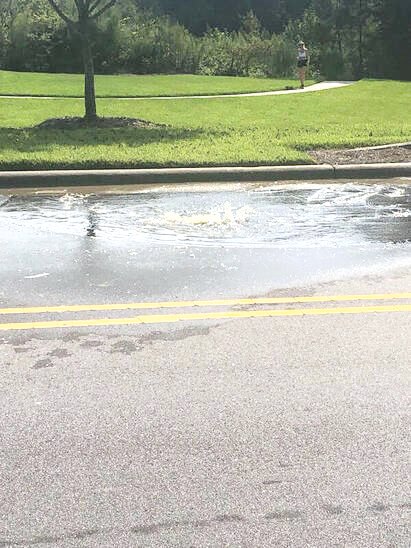 This is a photo of an untreated sewage spill that occured on Sept. 7 in Briar Chapel. An estimated 47,000 gallons of untreated sewage have spilled in the community since 2016.