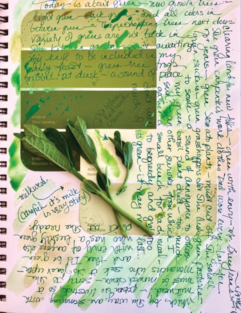 This collage, 'Stream of Green Consciousness' by Barbara Hengstenberg is an example of the kind a creativity she hopes to spark with her Bynum Front Porch virtual series.