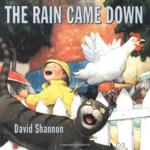 'The Rain Came Down,' by David Shannon.
