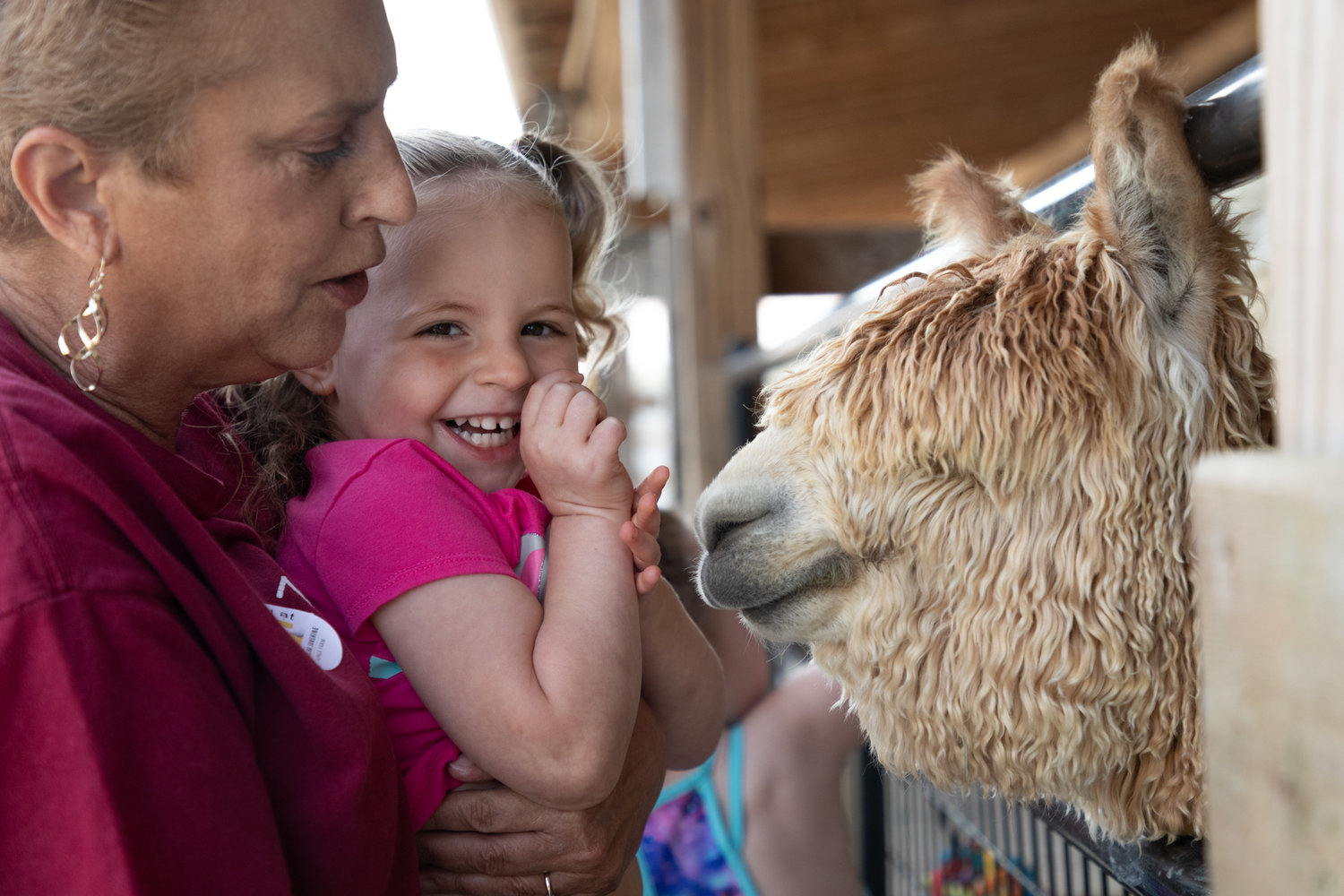 Melody Clark, left, and her granddaughter Olivia pet an alpaca at Carolina Sunshine Alpaca Farm's grand opening event on Saturday.