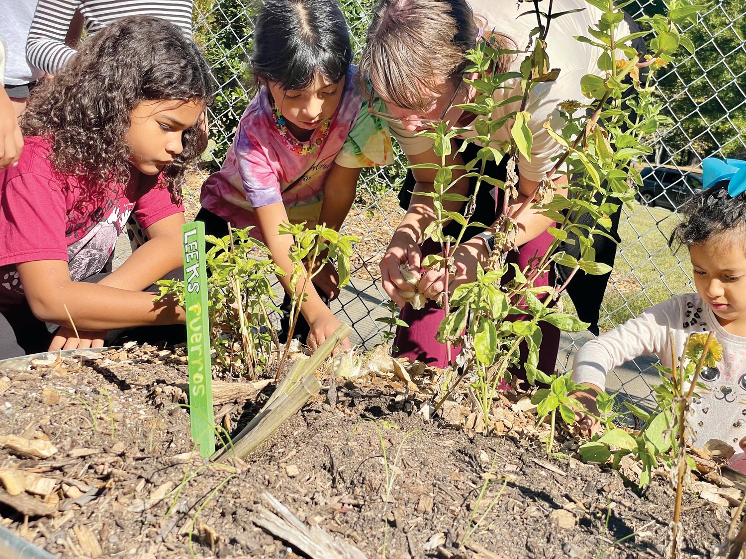 Marianne Maschal, center right, teaches students at North Chatham Elementary how to plant leeks in a raised planter bed. Maschal oversees the garden and tends to it daily.