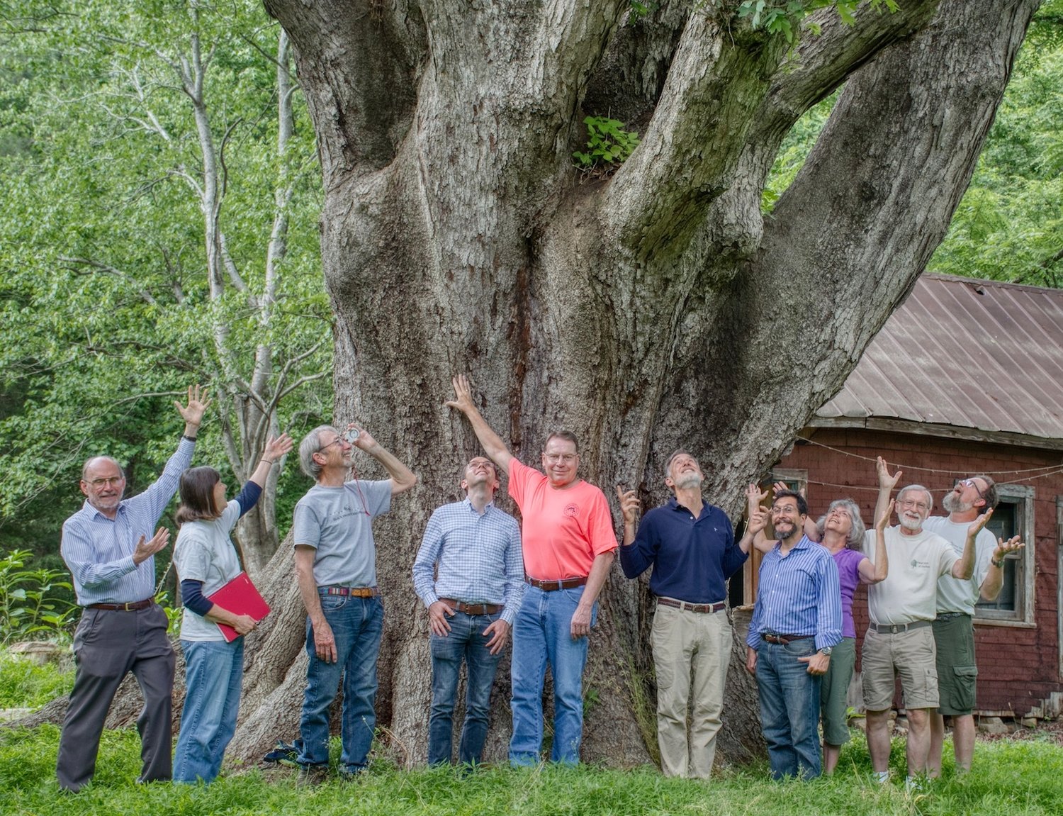 Members of Grand Trees of Chatham’s board of directors pose around the N.C. Champion White Oak in North Carolina for 2015. Posing, from left, are JC Garbutt, Sharon Garbutt, Andy Upshaw, Matt Jones, Dean Westman, Rouse Wilson, Paul Horne, Connie McAdams, Gary Simpson and Phil Cox..